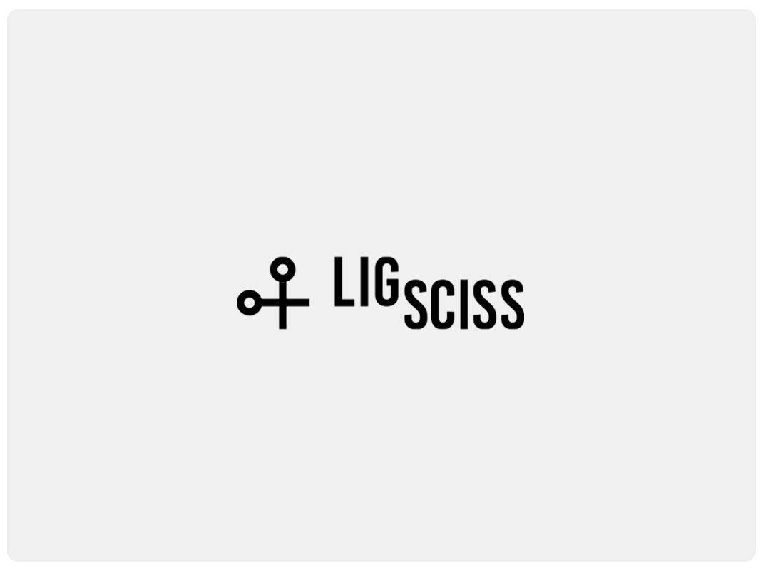 Logotype project for Lig Sciss