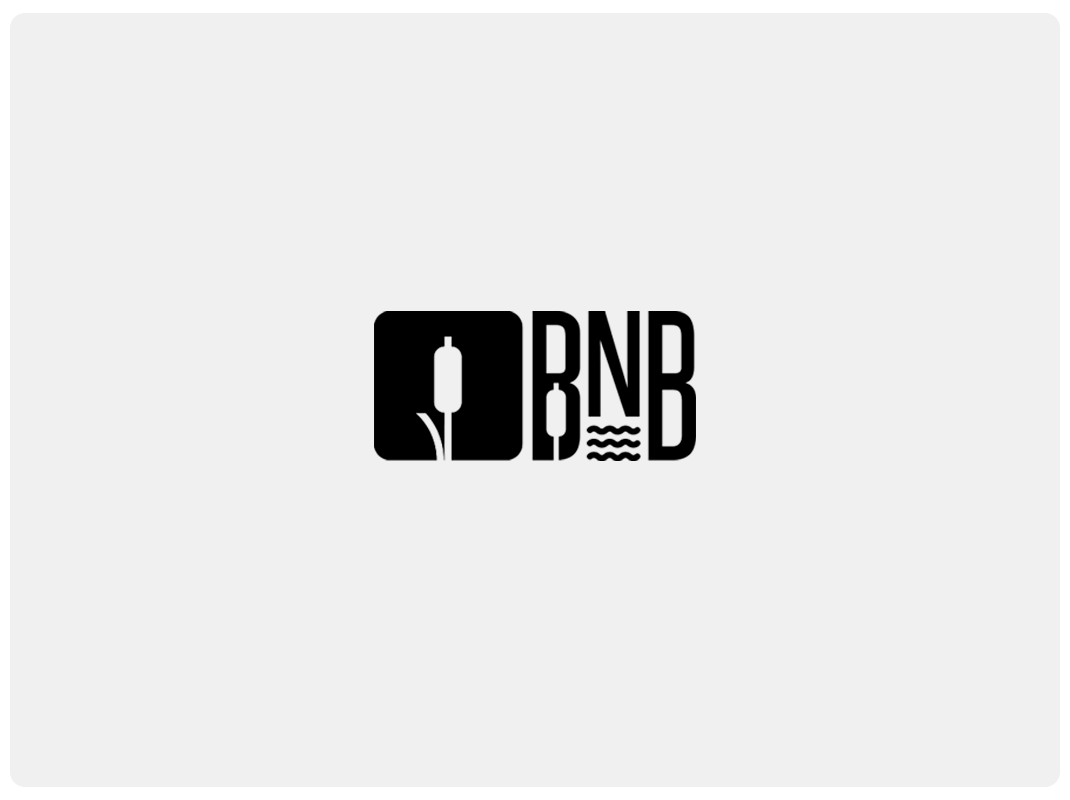 Logotype project for BnB (Biegiem na Bagry)